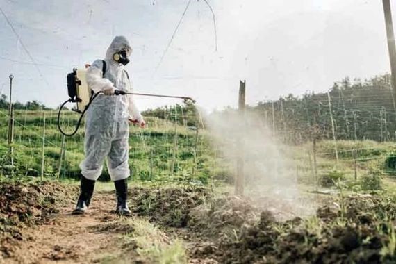 Akşam yemeklerinde şok bulgu! 18 farklı pestisit tespit edildi