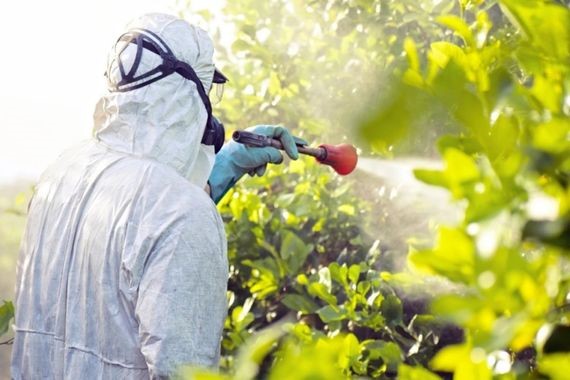 Tarım ilacı devlerine soruşturma: BASF ile HEKTAŞ ve GÜBRETAŞ bağlantılı şirketler listede