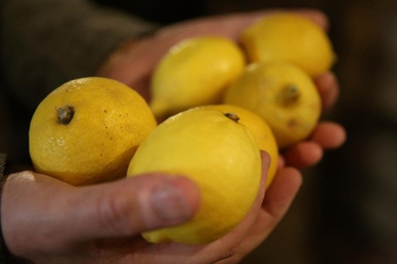 Tartışmalı pestisit nedeniyle sevkiyat durduruldu: Limonlar iade edildi