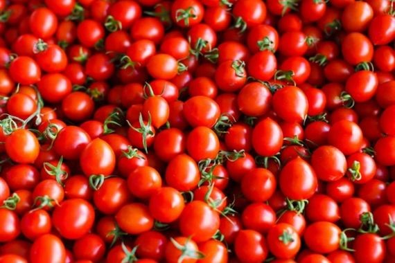 Sınırda şok karar: Türk domatesleri imha edildi