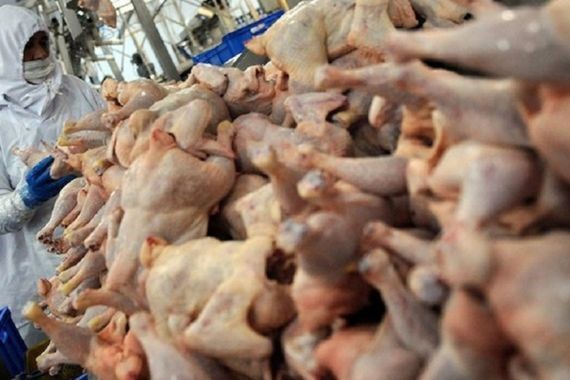 Türkiye’nin ünlü tavuk markasında zehirlenme alarmı: Herkes birer birer fenalaştı