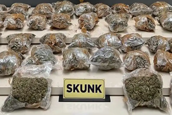 uyusturucudan-gozaltina-alinan-sarkici-kalbenin-kullandigi-skunk-nedir.png