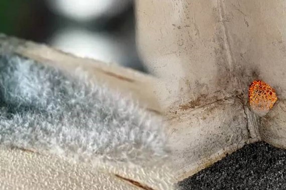 Her Evde Var Ama Gizli Tehlike! Adeta Küf Yuvası Olan O Eşya Açıklandı