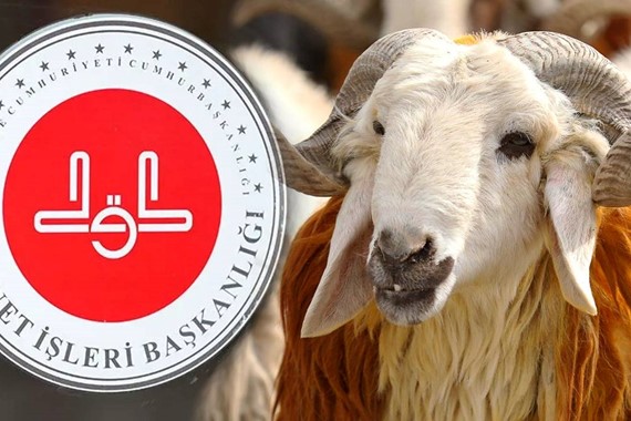 Diyanet Vekaletle Kurban Kesim Bedeli Kaç TL? 2026 Yılı Kurban Bağış Fiyatlarında Son Durum!