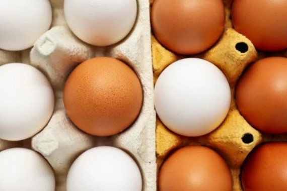 yillardir-yanlis-biliniyordu-bilim-insanlari-saglikli-yumurtayi-acikladi.jpg