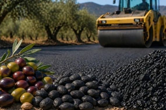 Yol yapımında artık zeytin kullanılacak: Zeytin çekirdeğinden asfalt üretimi başladı