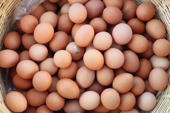 Yumurta piyasasında sessiz dönüşüm: Kahverengi yumurtalar raflardan çekiliyor