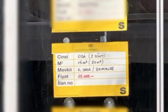 15-bin-tl-kira.jpg