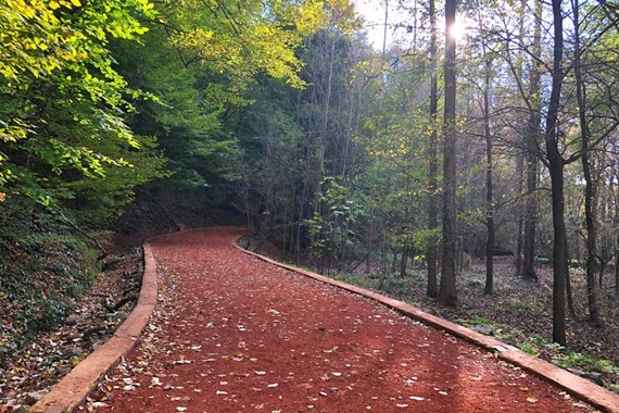 belgrad-ormani-mangal-2.jpg