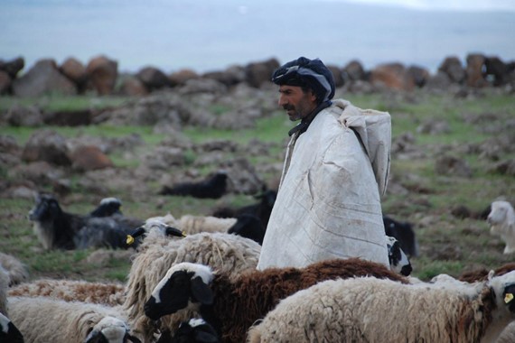 cankiri-cobanlik.jpg