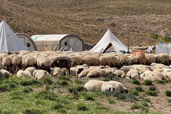 coban-sikintisi-tunceli-3.png