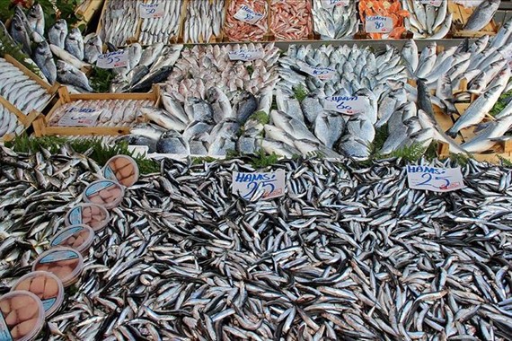 hamsi-en-cok-etrcih-edilen.jpg