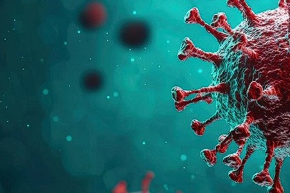 hantavirus-nedir-belirtileri.jpg