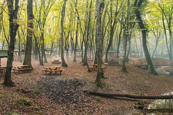 istanbul-piknik-alani-hangileri.jpg