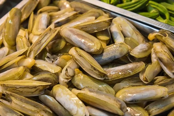 jilet-midyesi-2.jpg