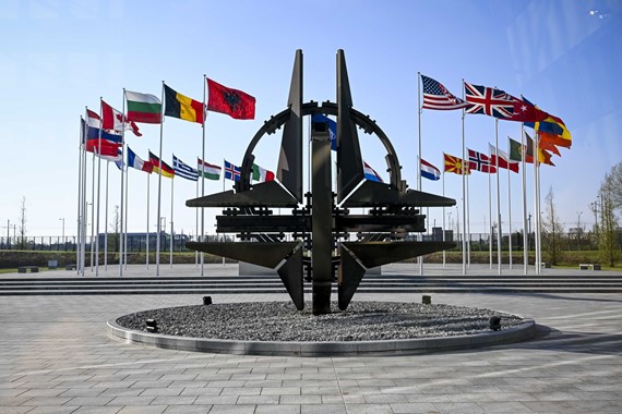 nato-5-madde-anlami.jpg
