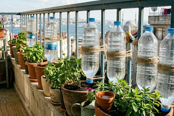 pet-sise-balkon-cicek-sulama.jpg