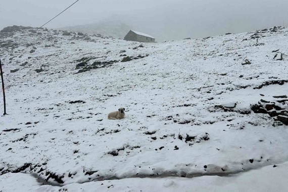 rize-yayla-kar-eylul.jpg