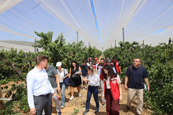 turk-kirazi-tek-yon-cin-bileti-2.jpg