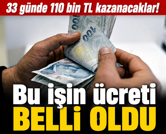 110 bin lira maaş verilecek: Bu işi yapacak çalışanlar aranıyor