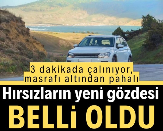 3 dakikada çalınıyor, masrafı altından pahalı: Hırsızların gözdesi belli oldu