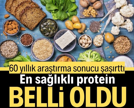 60 yıllık araştırma sonucu şaşırttı: En sağlıklı protein belli oldu