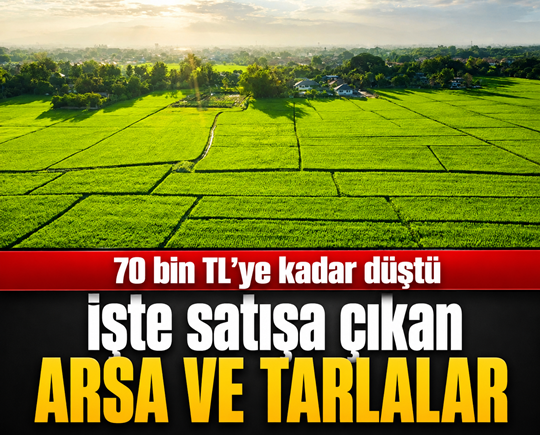 70 bin TL’ye kadar düştü: İşte satışa çıkan arsa ve tarlalar