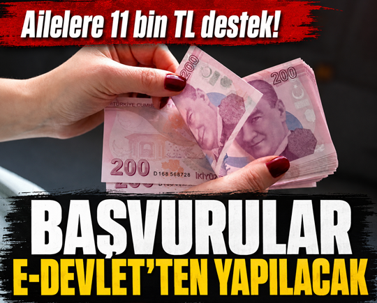 Ailelere 11 bin TL destek! Başvurular e-Devlet’ten yapılacak