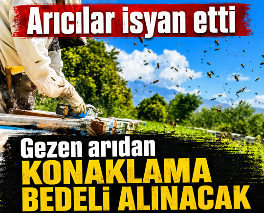Arıcılar isyan etti: Gezen arıdan konaklama bedeli alınacak