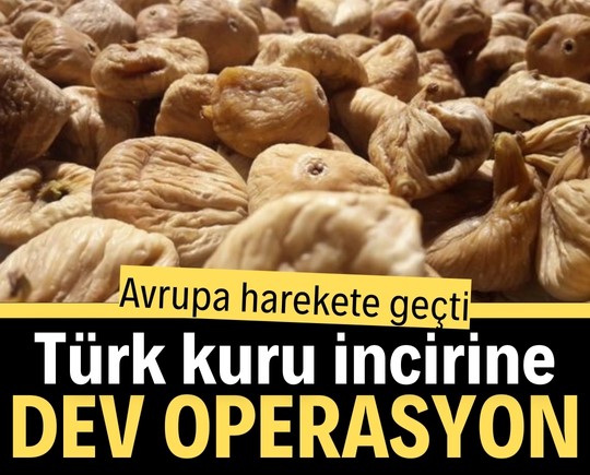 Avrupa harekete geçti: Türk kuru incirine dev operasyon