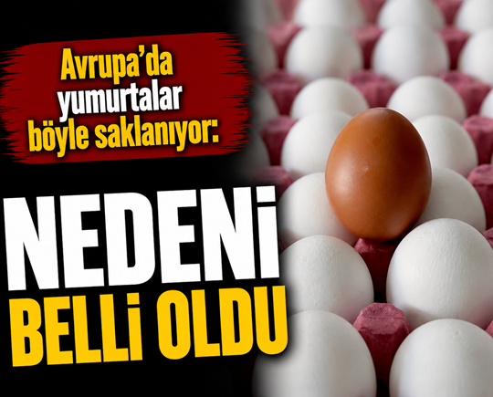Avrupa’da yumurtalar böyle saklanıyor: Nedeni belli oldu