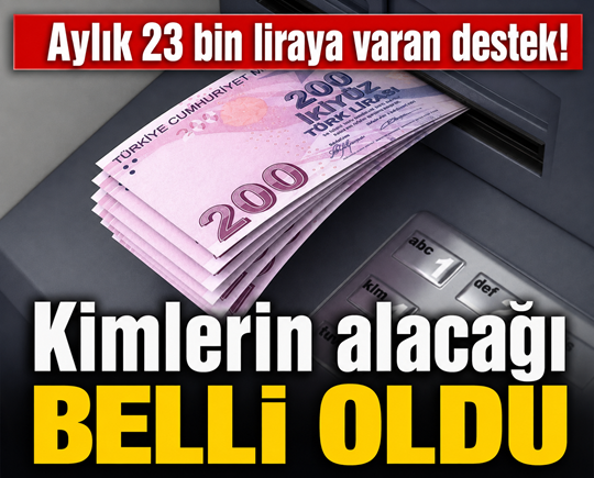 Aylık 23 bin liraya varan destek! Kimlerin alacağı belli oldu