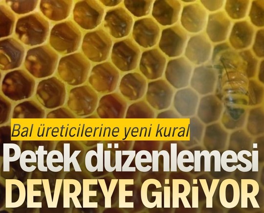 Bal üreticilerine yeni kural: Petek düzenlemesi devreye giriyor