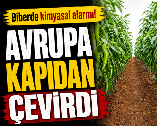 Biberde kimyasal alarmı! Avrupa kapıdan çevirdi