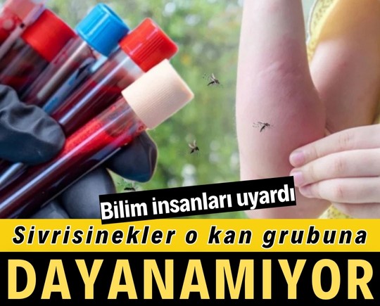 Bilim insanları uyardı: Sivrisinekler o kan grubuna dayanamıyor!