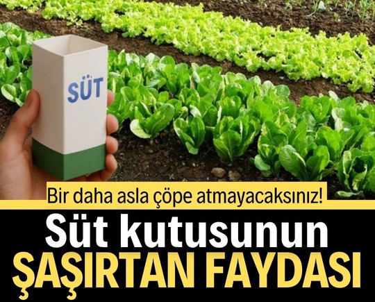 Bir daha asla çöpe atmayacaksınız! Süt kutusunun şaşırtan faydası