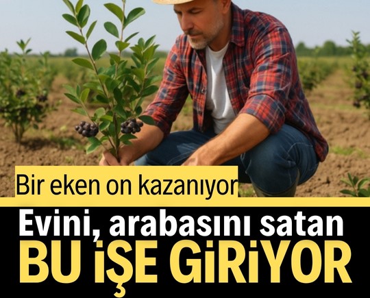 Bir eken on kazanıyor, evini satan bu işe giriyor