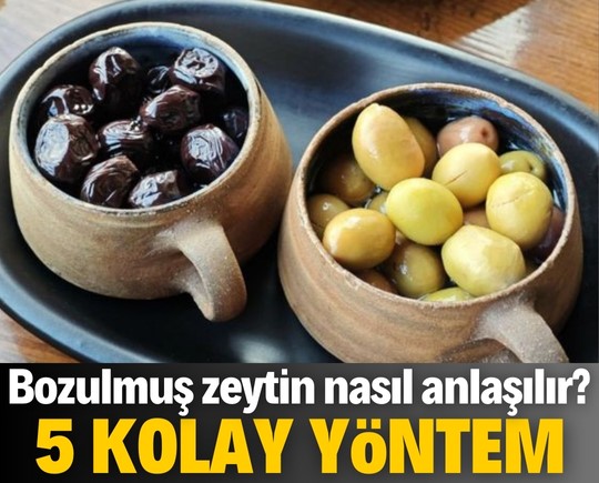 Bozulmuş zeytin nasıl anlaşılır? İşte 5 kolay yöntem