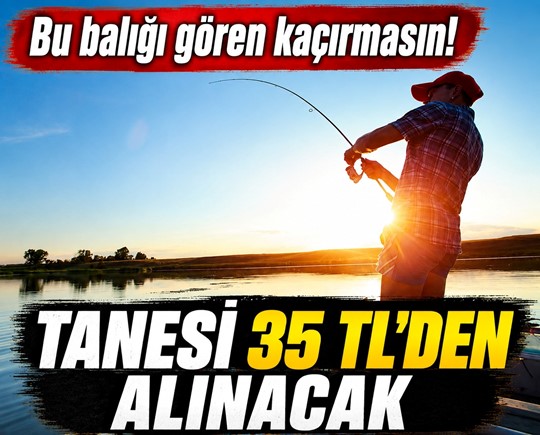 Bu balığı gören kaçırmasın! Tanesi 35 TL’den alınacak