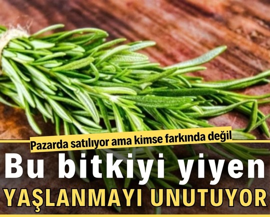 Bu bitkiyi yiyen yaşlanmayı unutuyor! Pazarda satılıyor ama kimse farkında değil