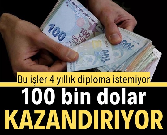 Bu işler 4 yıllık diploma istemiyor! 100 bin dolar kazandırıyor