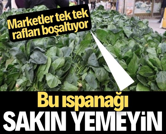 Bu ıspanağı sakın yemeyin! Marketler tek tek rafları boşaltıyor