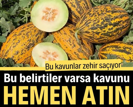 Bu kavunlar zehir saçıyor! Bu belirtiler varsa kavunu hemen atın