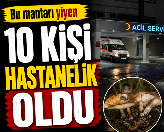 Bu mantarı yiyen 10 kişi hastanelik oldu