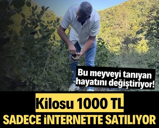 Bu meyveyi tanıyan hayatını değiştiriyor! Kilosu 1000 TL, sadece internette satılıyor