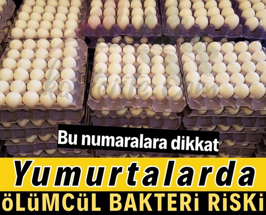 Bu numaralara dikkat: Yumurtalarda ölümcül bakteri riski