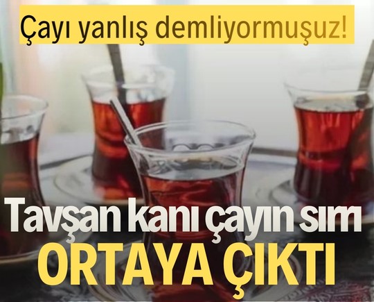 Çayı yanlış demliyormuşuz! Tavşan kanı çayın sırrı ortaya çıktı
