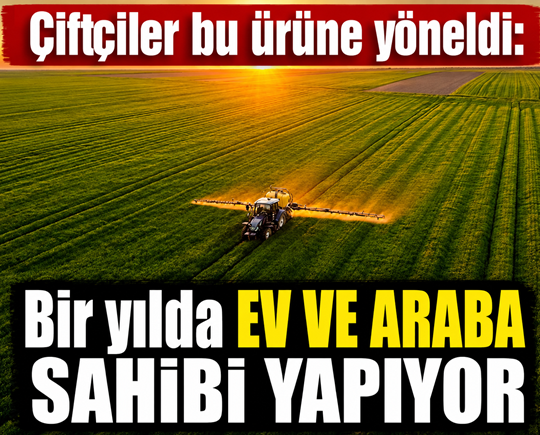 Çiftçiler bu ürüne yöneldi: Bir yılda ev ve araba sahibi yapıyor
