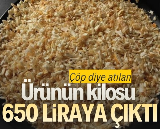 Çöp diye atılan ürünün kilosu 650 liraya çıktı