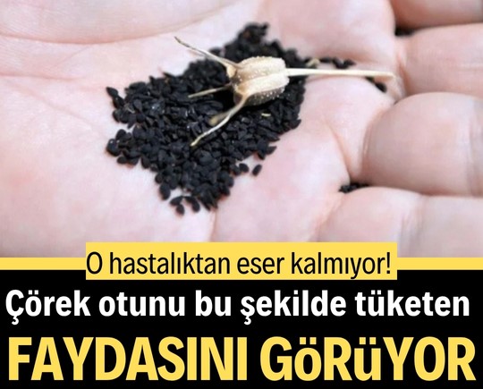 Çörek otunu bu şekilde tüketen faydasını görüyor! O hastalıktan eser kalmıyor!